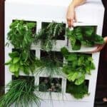 IndoorGarden1