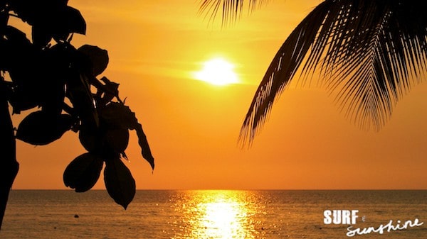 copyright SurfandSunshine.com