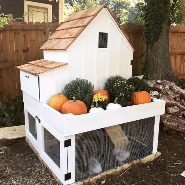 17 Amazing Free DIY Chicken Coop Plans to Download