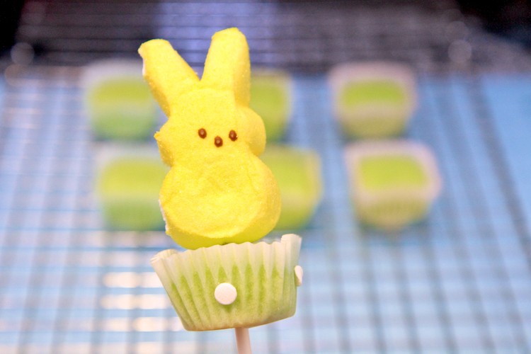 DIY easter peeps pops recipe