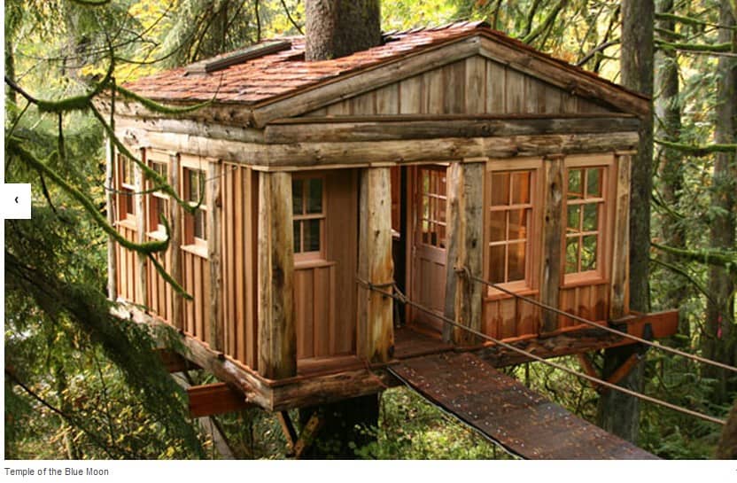 TreeHouse Point