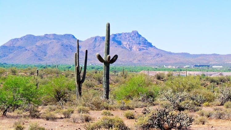 horseback riding in arizona 5