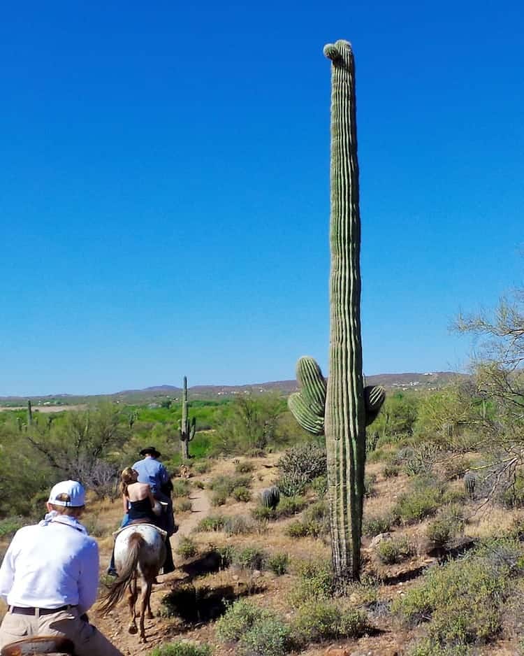 horseback riding in arizona 7