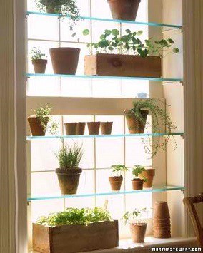 Let Your Green Thumb Flourish Even In The Smallest Spaces