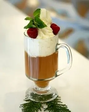 10 Best Hot Spiked Holiday Drink Recipes 