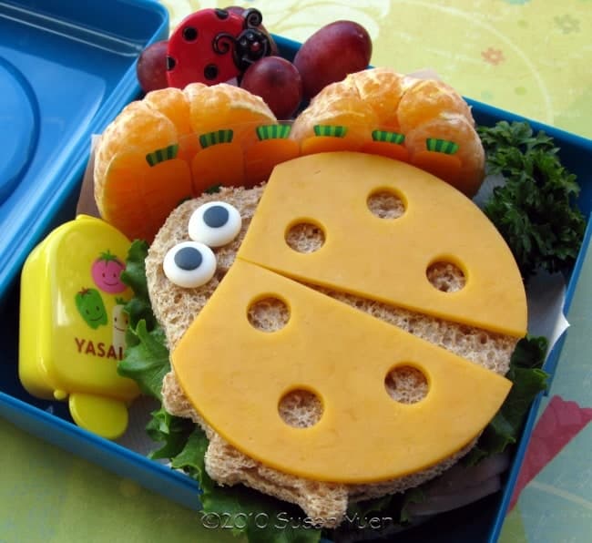 Kid Friendly Bento Box Ideas with Cuties