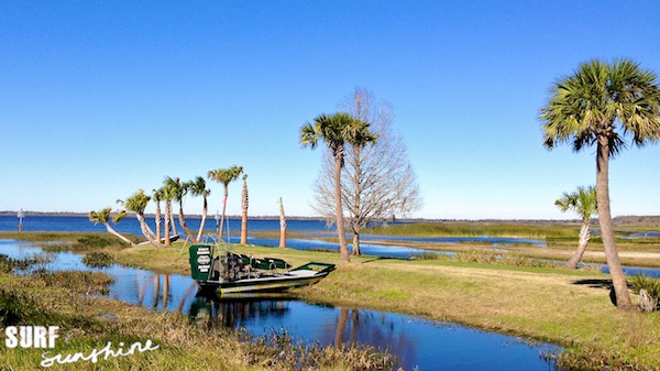 wild florida airboat rides