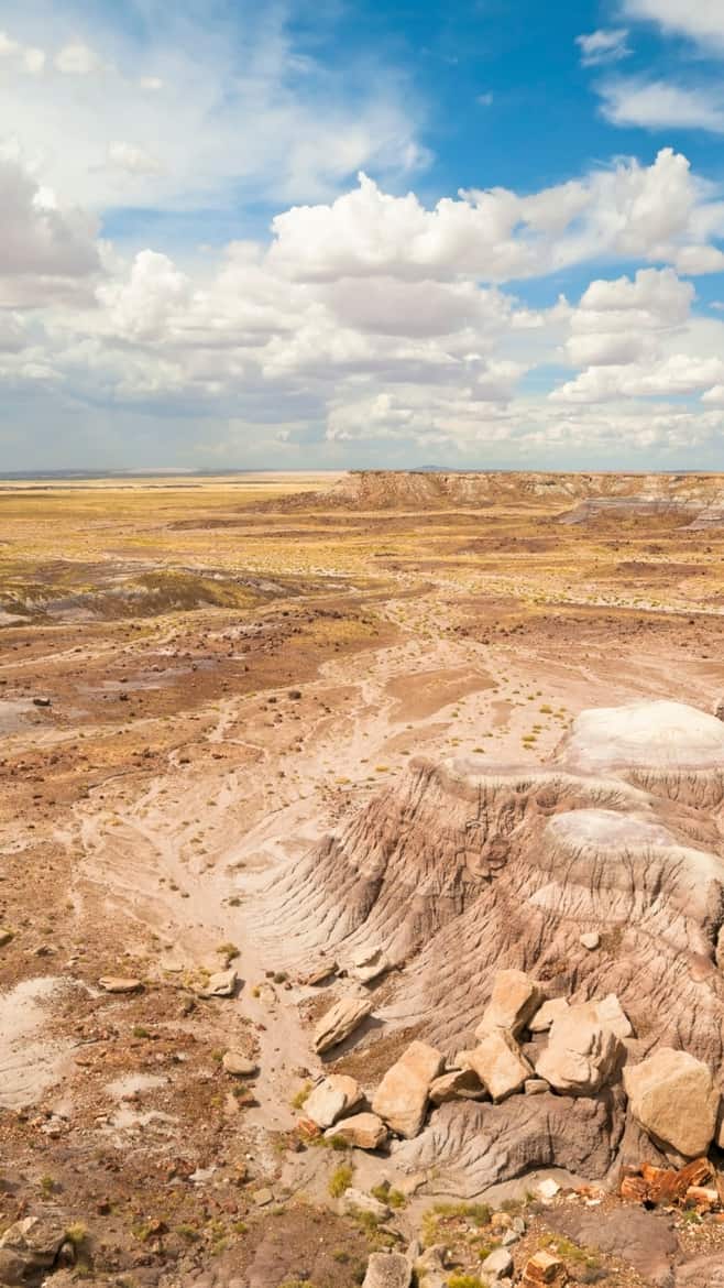 Painted Desert