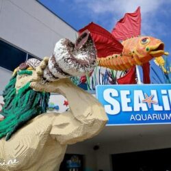 Sea Life Aquarium LEGOLAND: A Wondrous Discovery