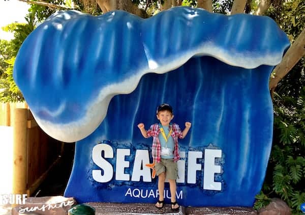 Sea Life Aquarium 3