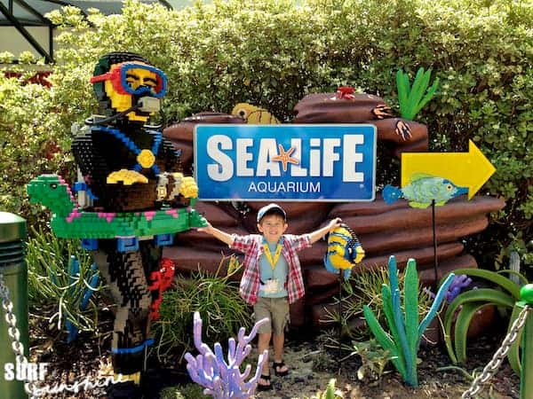 Sea Life Aquarium 4