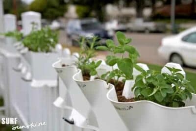 container gardening