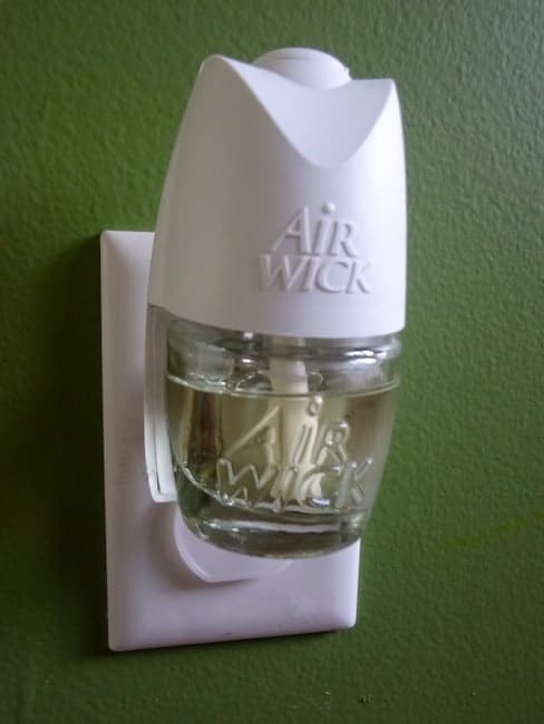 Is There Any Smell Worse Than Wet Dog? Airwick