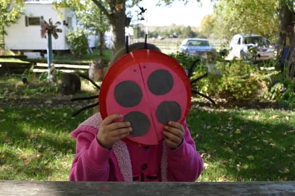 DIY Ladybug Craft Project for Toddlers 