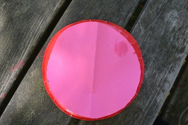 DIY Ladybug Craft Project for Toddlers DIY Ladybug Craft Project for Toddlers