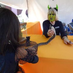 Celebrate Halloween on the Wild Side: Boo at the Los Angeles Zoo!