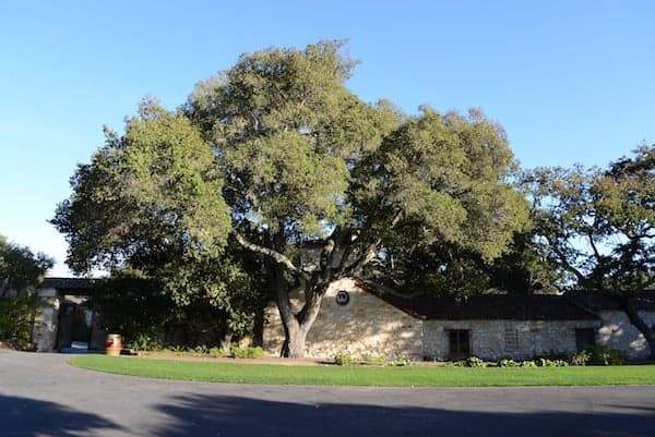 holman ranch carmel valley 1