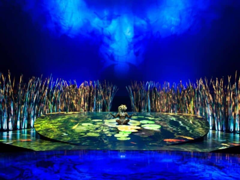 Cirque Du Soleil Takes Evolution To New Heights