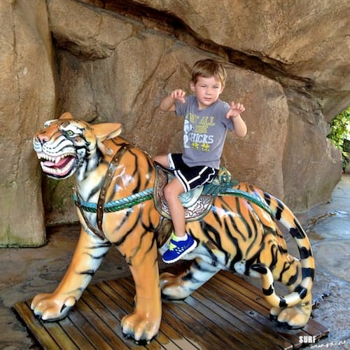 universal orlando bengal tiger