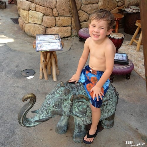 Tips for an Awesome Universal Orlando for Toddlers Experience universal orlando indian elephant