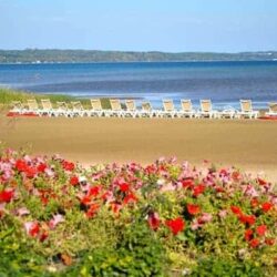 Lakefront Hospitality at the Cherry Tree Inn and Suites