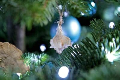 diy seashell ornaments