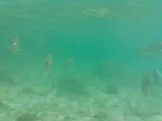 2014 06 19 12.09.17