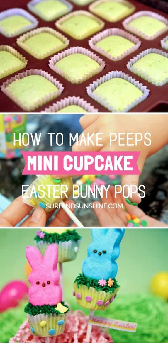 DIY easter peeps pops recipe