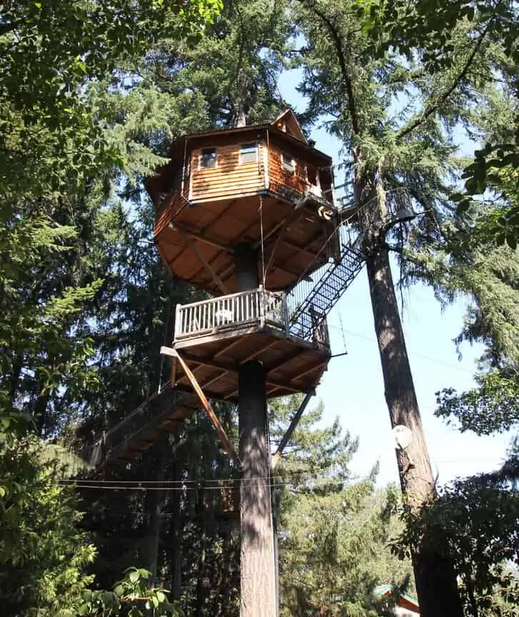 out and about treehouse resort -  - So You Wanna Swing from the Trees? 12 Tree House Resorts You Can Actually Stay At!