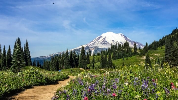 Mount Rainier Naches Peak Loop Trail