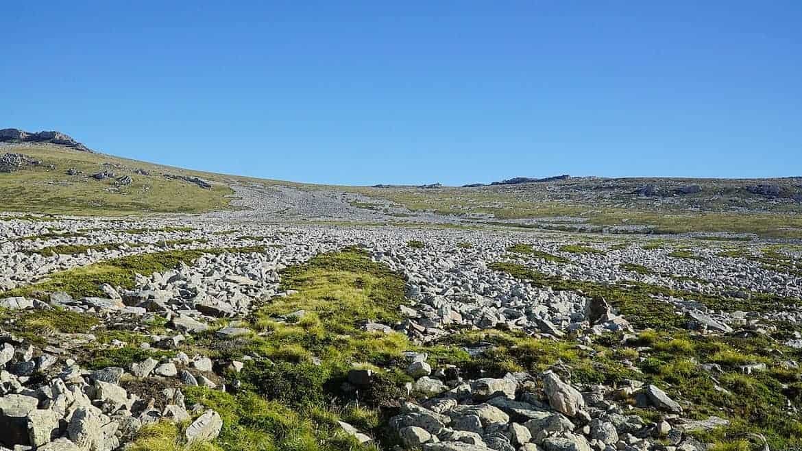 stone runs falklands