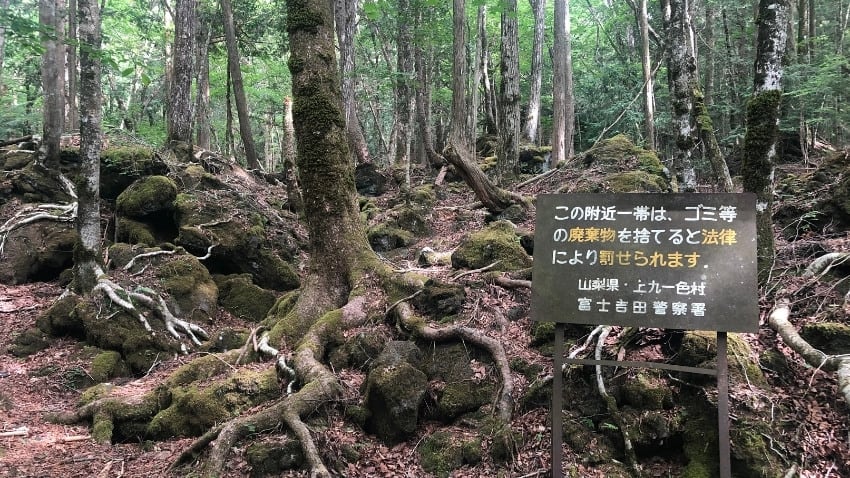 Aokigahara Forest one of the weirdest places in the world