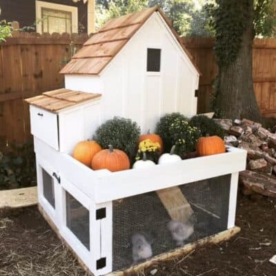 Free Chicken Coop Plans 12