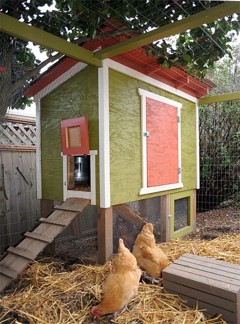 Free DIY Chicken Coop Plans for a multi level chicken coop with frenced in area and roost.