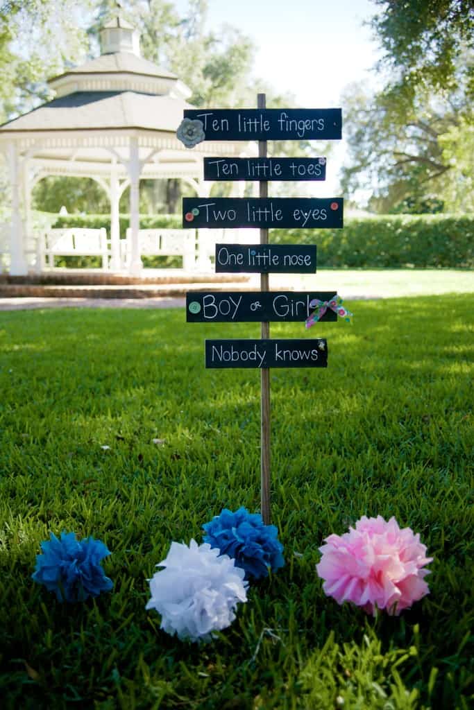 gender reveal party ideas welcome sign