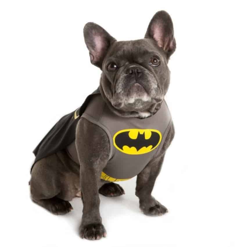 halloween costumes for pets