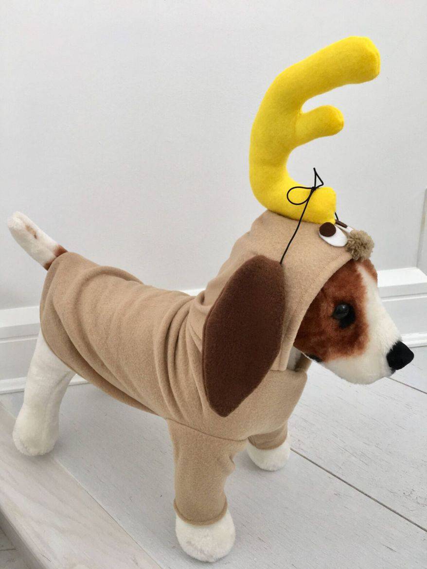 halloween costumes for pets