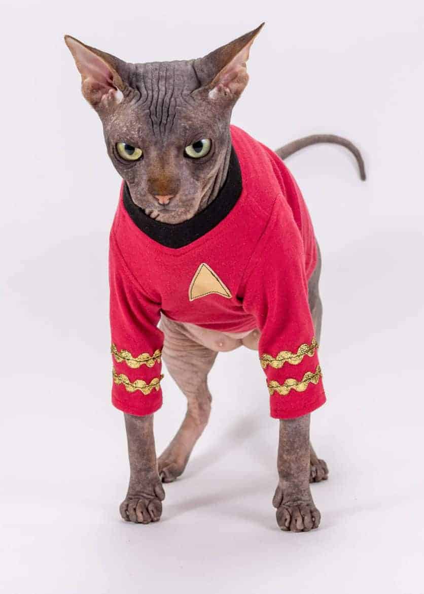 halloween costumes for pets