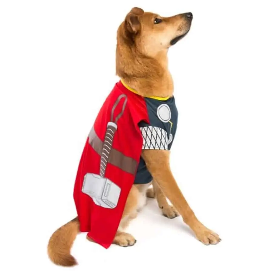 awesome halloween costumes for pets
