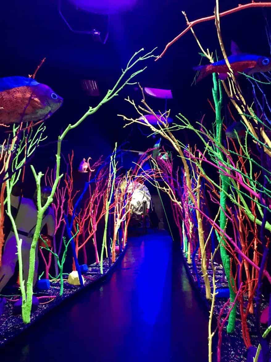 Meow Wolf House of Eternal Return