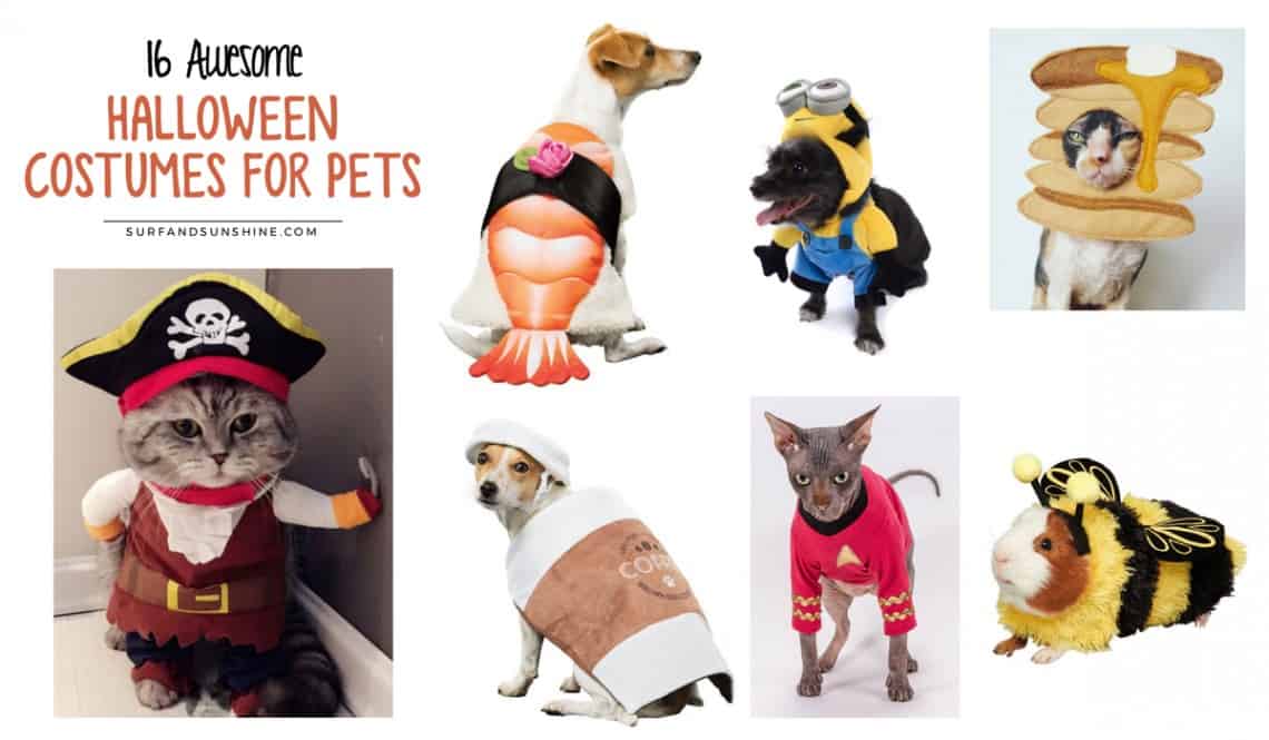 awesome halloween costumes for pets