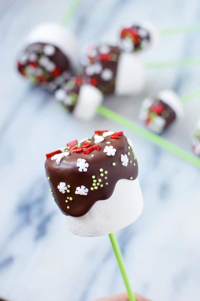 DIY Winter Wonderland Chocolate Dipped Marshmallows