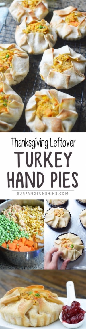 thanksgiving leftover turkey hand pie recipe