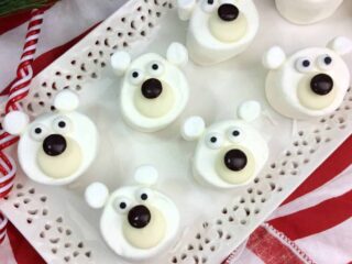 polar bear marshmallows recipe