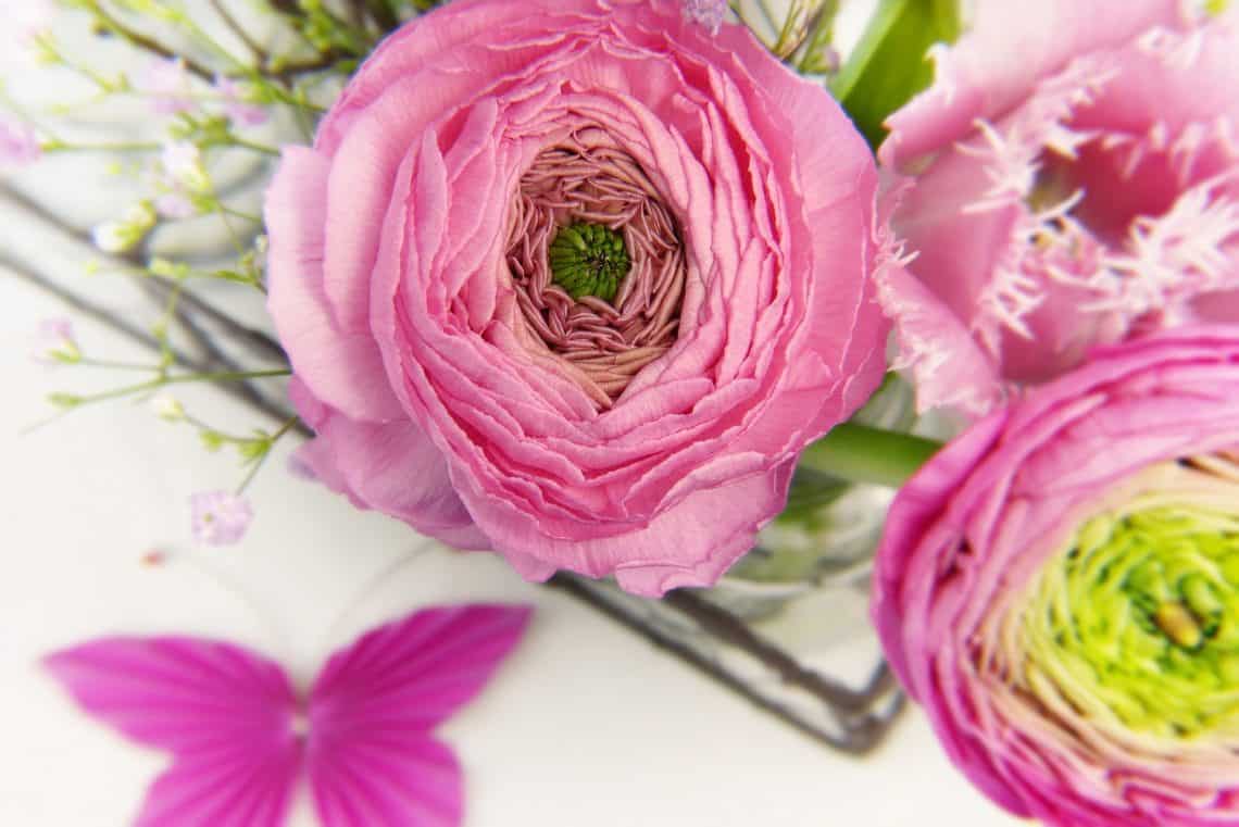 how to choose the right flowers for any occasion