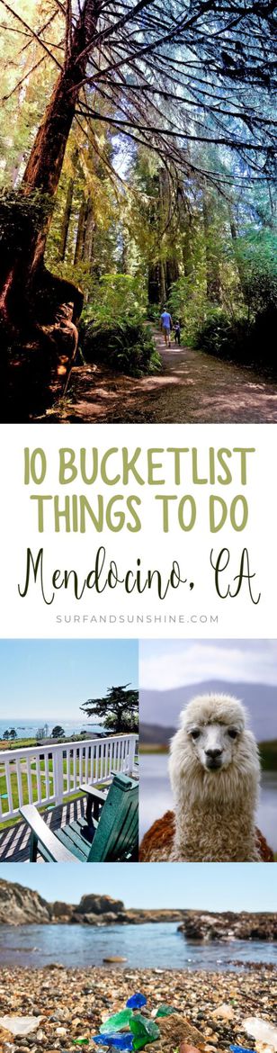 10 Things You Can Strike Off Your Bucket List by Visiting #Mendocino, #California
Whether you visit as an overnight trip from other cities or make it your sole destination, here\'s 10 of our fav things to do in this beautiful coastal town #travel