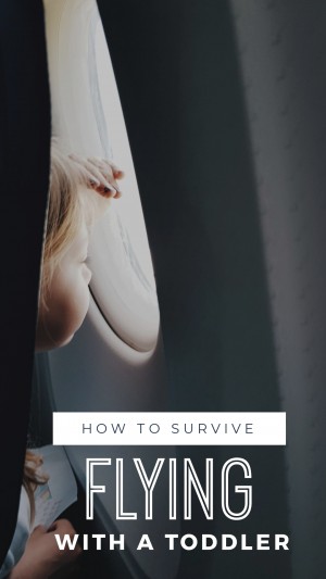 how to survive flying with a toddler