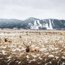 22 Ways to Rock Winter in Jackson Hole on a Budget