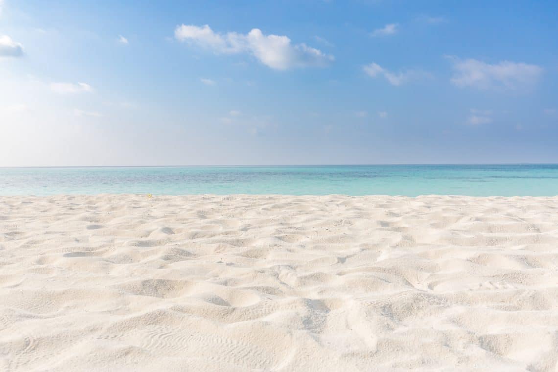 siesta beach tampa