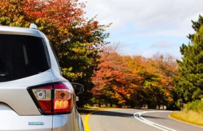 car road fall trees